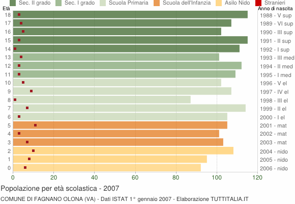 Grafico Popolazione in età scolastica - Fagnano Olona 2007