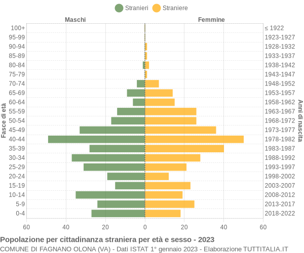 Grafico cittadini stranieri - Fagnano Olona 2023