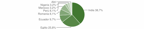 Grafico cittadinanza stranieri - Terranova dei Passerini 2010
