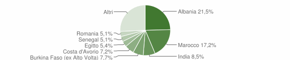 Grafico cittadinanza stranieri - Brivio 2007