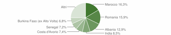 Grafico cittadinanza stranieri - Brivio 2012