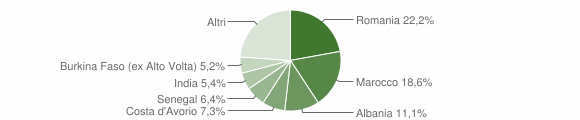 Grafico cittadinanza stranieri - Brivio 2016