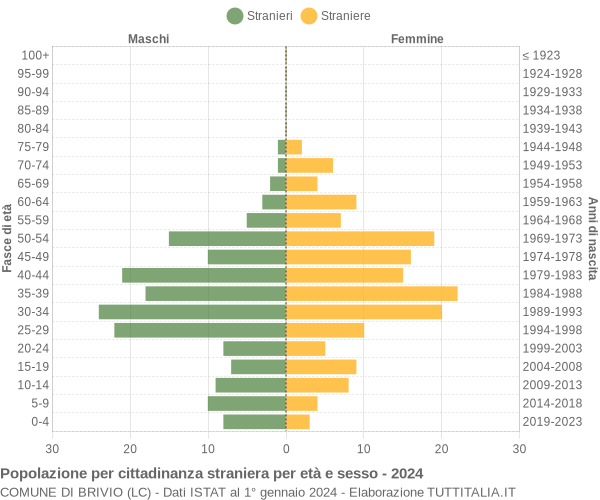 Grafico cittadini stranieri - Brivio 2024