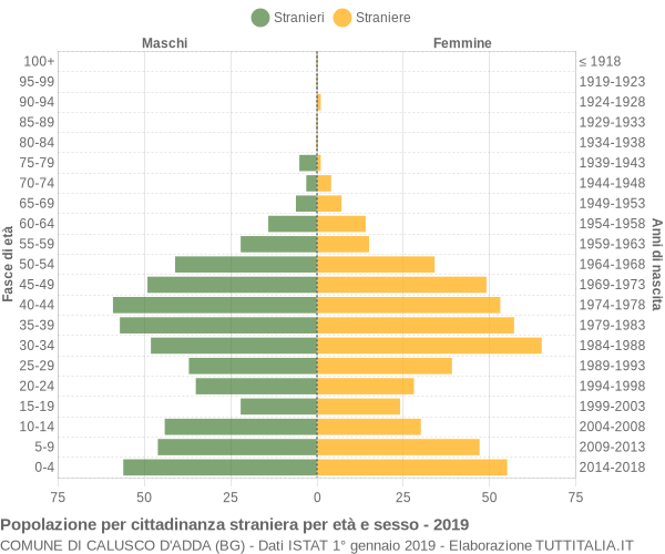 Grafico cittadini stranieri - Calusco d'Adda 2019