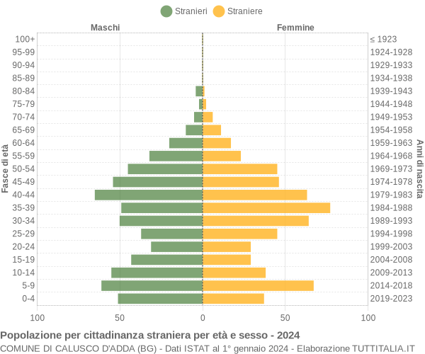 Grafico cittadini stranieri - Calusco d'Adda 2024