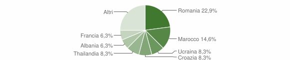 Grafico cittadinanza stranieri - Cergnago 2013