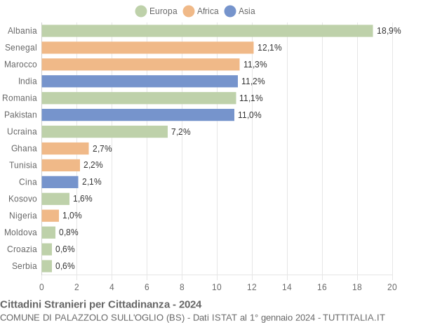 Grafico cittadinanza stranieri - Palazzolo sull'Oglio 2024