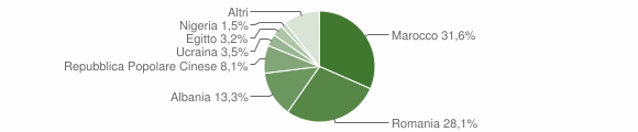 Grafico cittadinanza stranieri - Robbio 2013