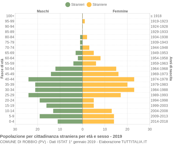 Grafico cittadini stranieri - Robbio 2019