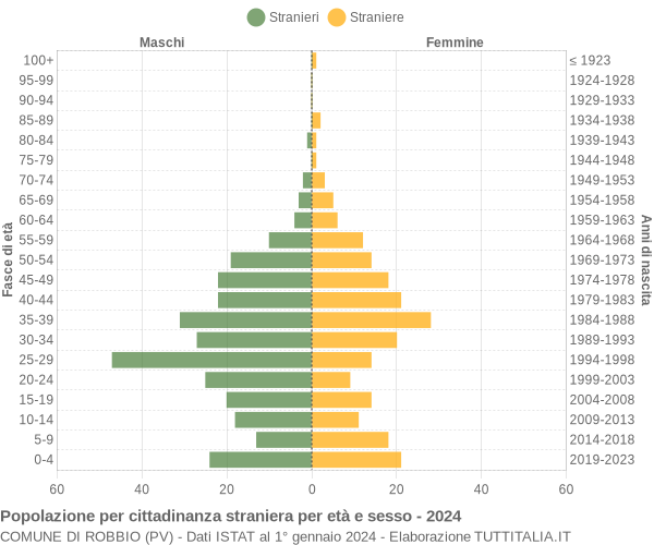 Grafico cittadini stranieri - Robbio 2024