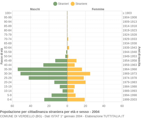 Grafico cittadini stranieri - Verdello 2004
