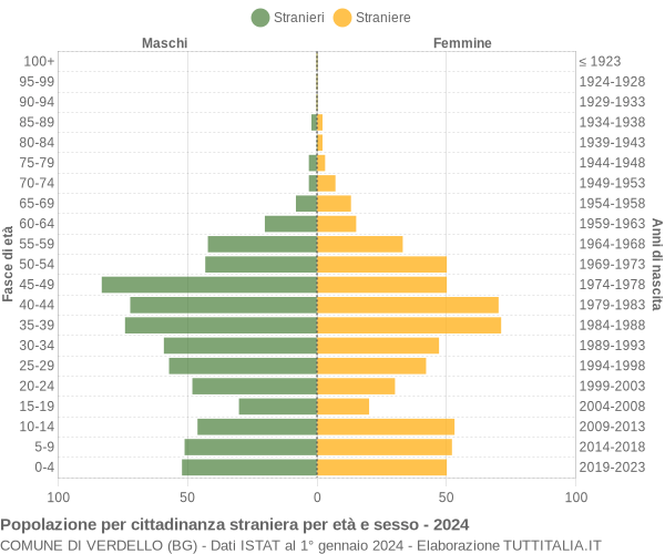 Grafico cittadini stranieri - Verdello 2024