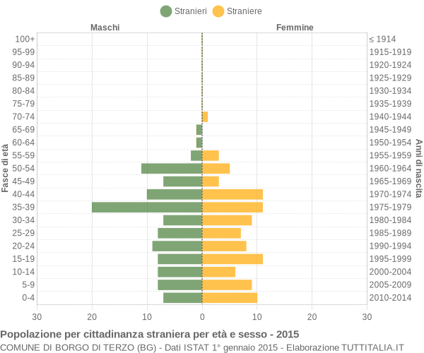 Grafico cittadini stranieri - Borgo di Terzo 2015