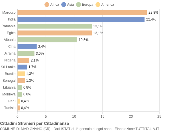 Grafico cittadinanza stranieri - Madignano 2010