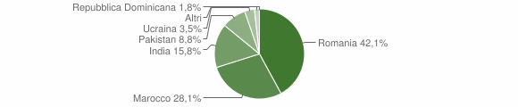 Grafico cittadinanza stranieri - Spineda 2010