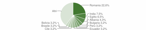 Grafico cittadinanza stranieri - Zerbolò 2013
