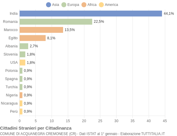 Grafico cittadinanza stranieri - Acquanegra Cremonese 2013
