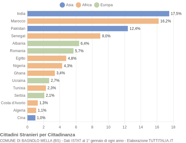 Grafico cittadinanza stranieri - Bagnolo Mella 2011