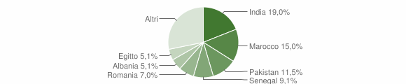 Grafico cittadinanza stranieri - Bagnolo Mella 2014
