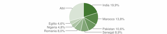 Grafico cittadinanza stranieri - Bagnolo Mella 2015