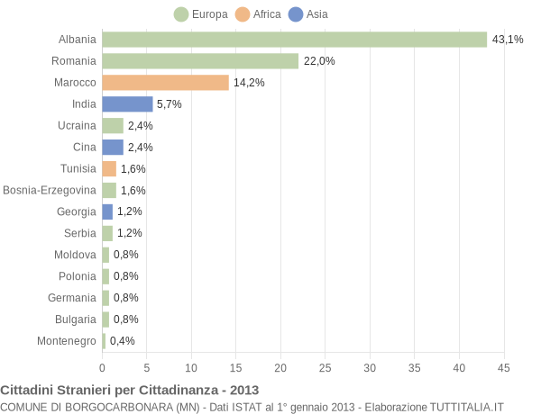 Grafico cittadinanza stranieri - Borgocarbonara 2013