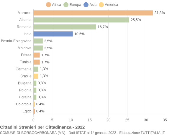 Grafico cittadinanza stranieri - Borgocarbonara 2022