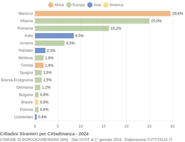 Grafico cittadinanza stranieri - Borgocarbonara 2024