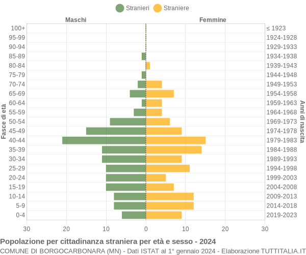 Grafico cittadini stranieri - Borgocarbonara 2024