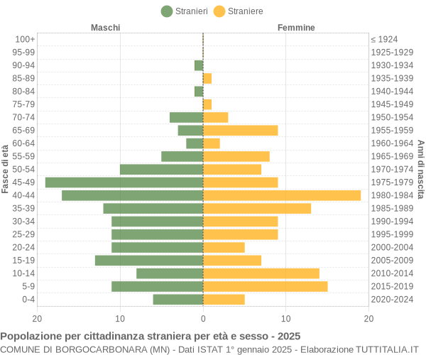 Grafico cittadini stranieri - Borgocarbonara 2025