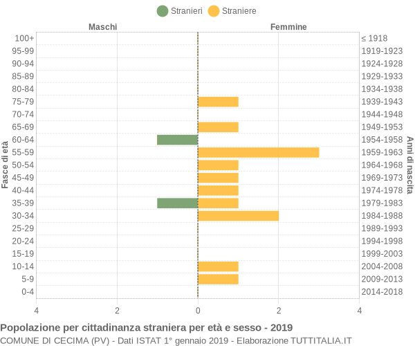 Grafico cittadini stranieri - Cecima 2019