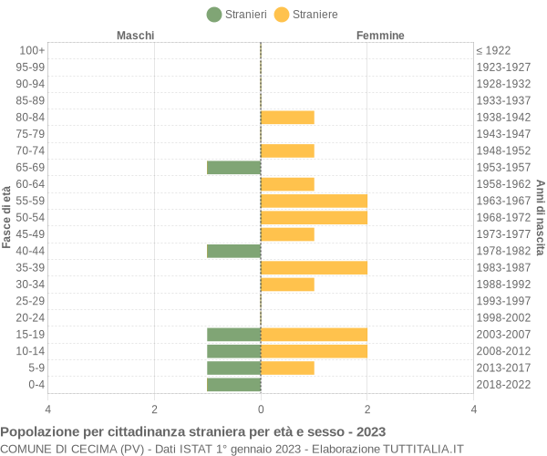 Grafico cittadini stranieri - Cecima 2023