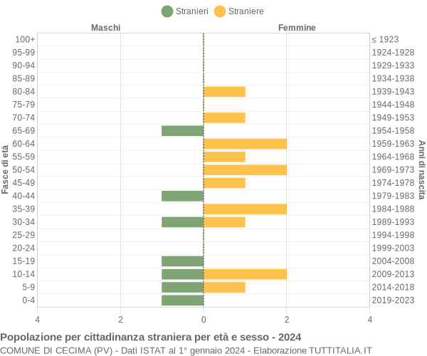 Grafico cittadini stranieri - Cecima 2024