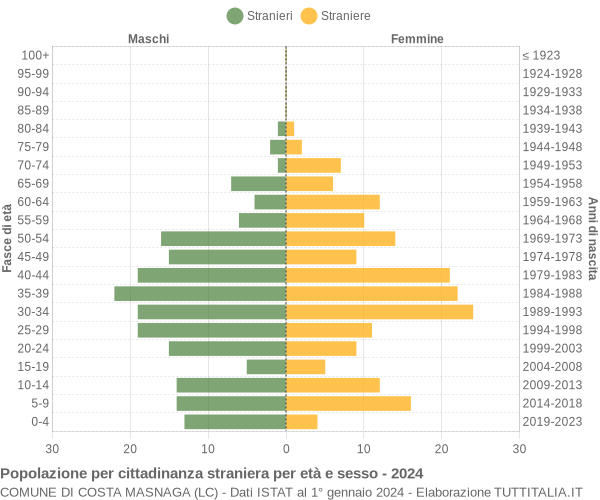 Grafico cittadini stranieri - Costa Masnaga 2024