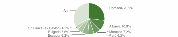 Grafico cittadinanza stranieri - Liscate 2015