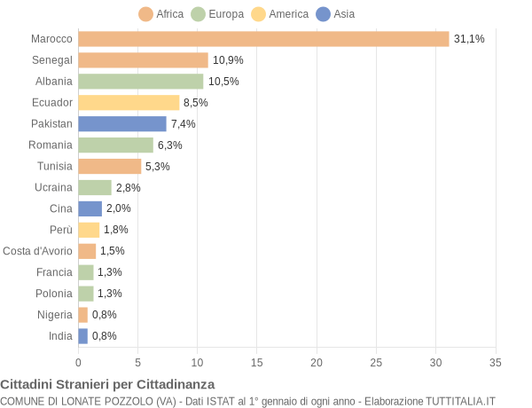 Grafico cittadinanza stranieri - Lonate Pozzolo 2009