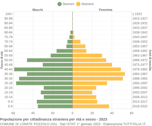 Grafico cittadini stranieri - Lonate Pozzolo 2023