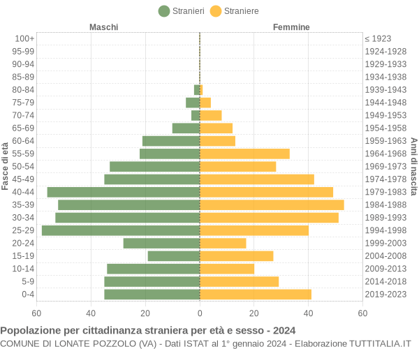 Grafico cittadini stranieri - Lonate Pozzolo 2024