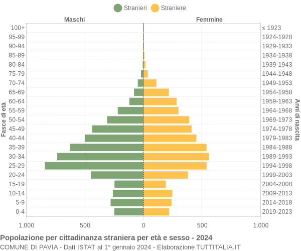 Grafico cittadini stranieri - Pavia 2024