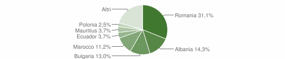 Grafico cittadinanza stranieri - Vernate 2010