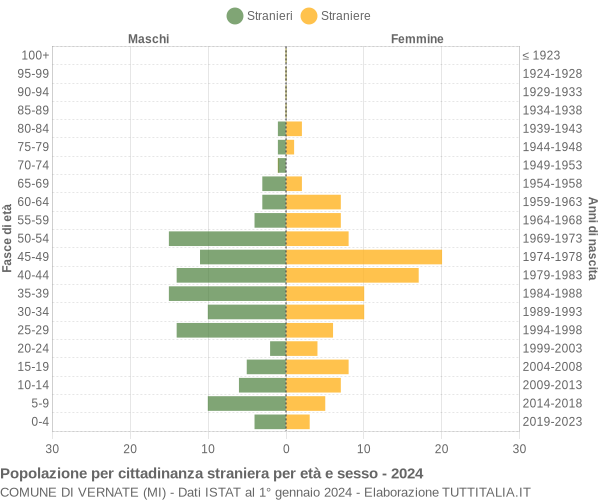 Grafico cittadini stranieri - Vernate 2024