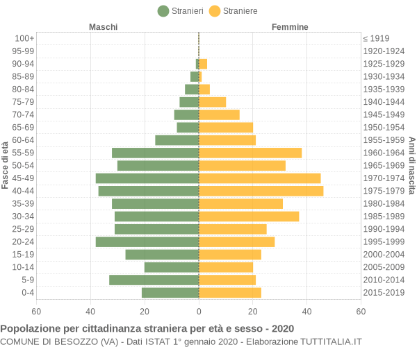 Grafico cittadini stranieri - Besozzo 2020