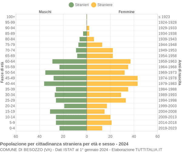 Grafico cittadini stranieri - Besozzo 2024