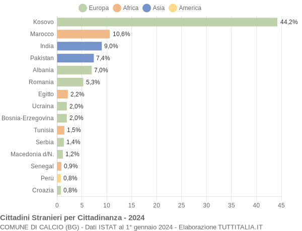 Grafico cittadinanza stranieri - Calcio 2024