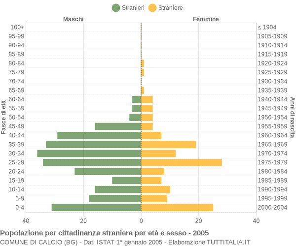 Grafico cittadini stranieri - Calcio 2005