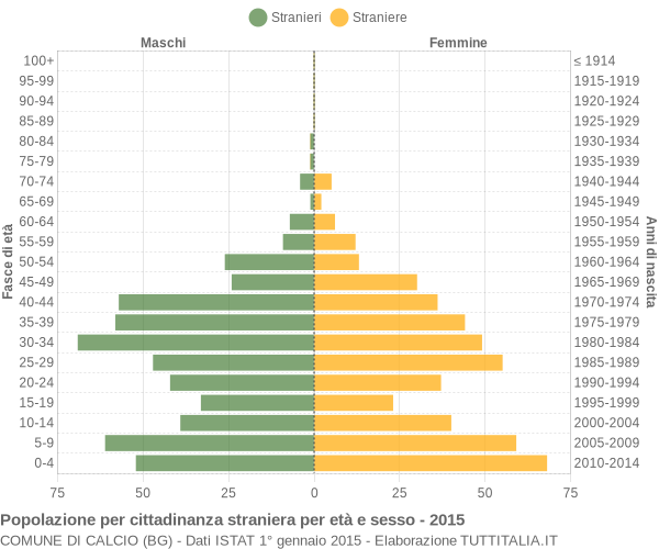 Grafico cittadini stranieri - Calcio 2015