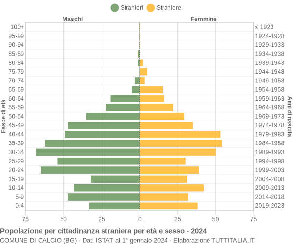 Grafico cittadini stranieri - Calcio 2024