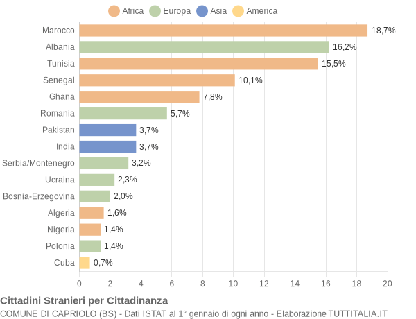 Grafico cittadinanza stranieri - Capriolo 2005