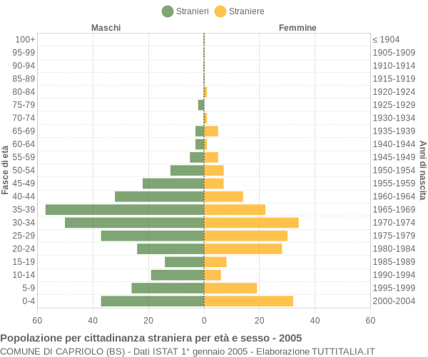 Grafico cittadini stranieri - Capriolo 2005