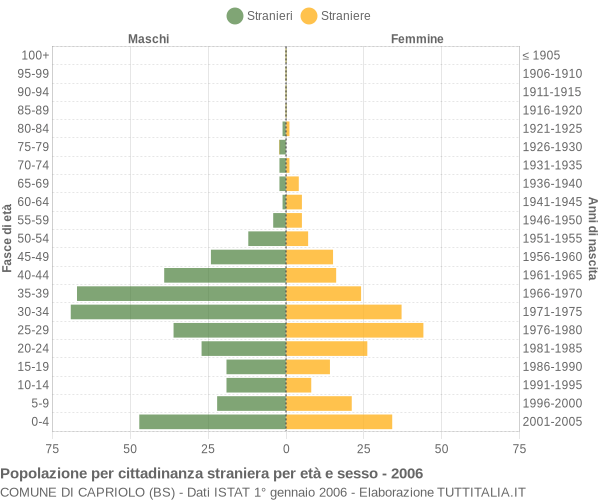 Grafico cittadini stranieri - Capriolo 2006