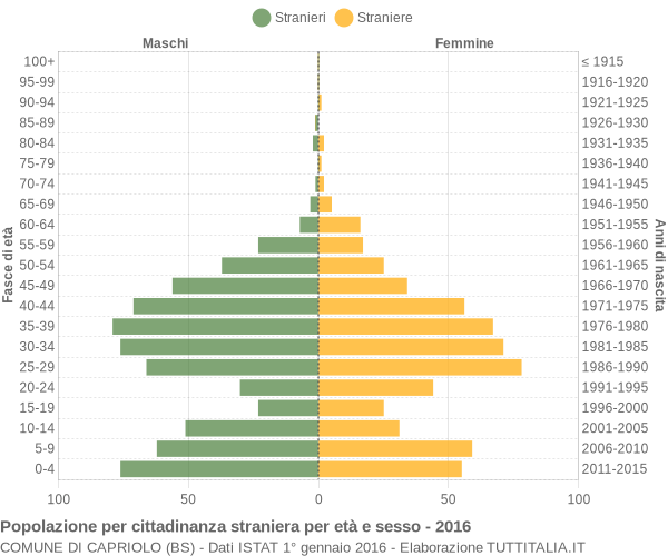 Grafico cittadini stranieri - Capriolo 2016